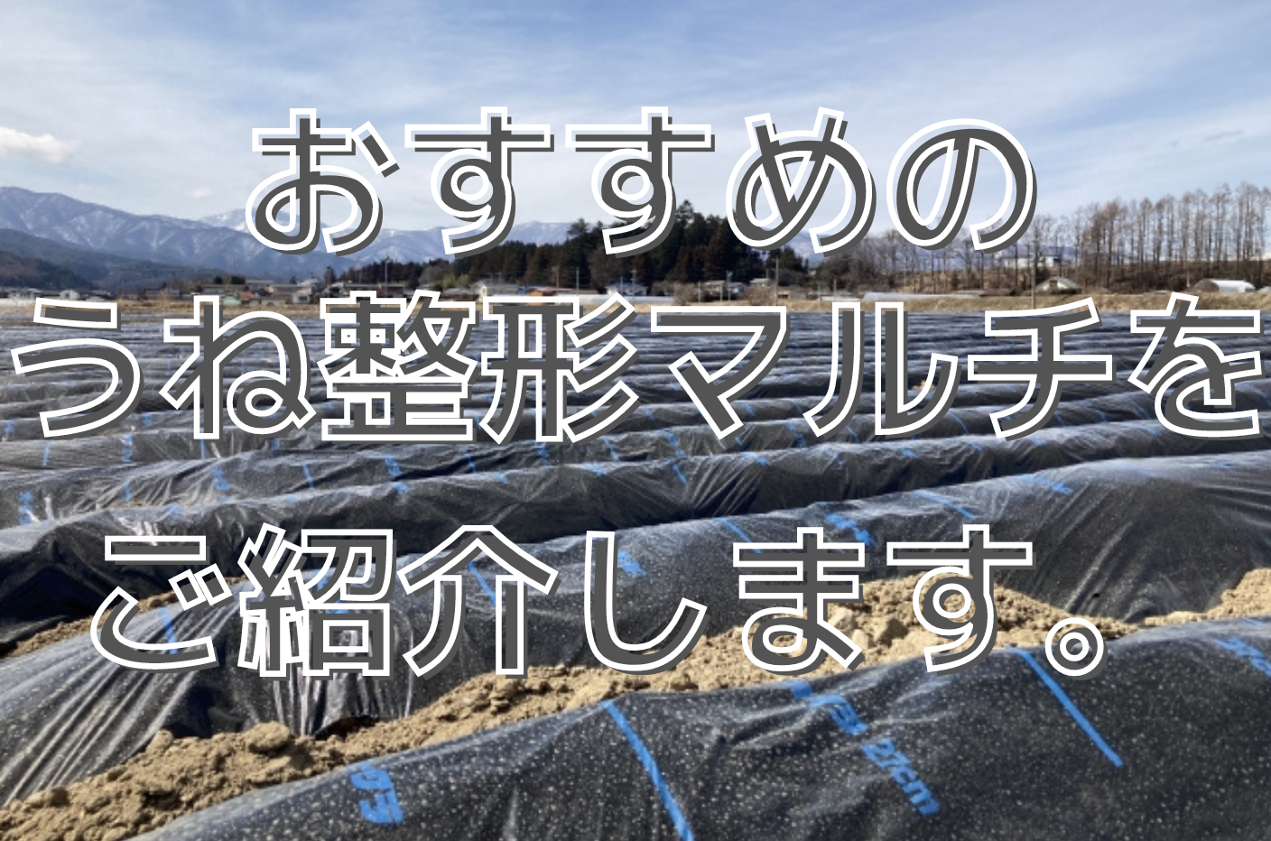 おすすめのうね整形マルチをご紹介します。 - ノウキナビブログ｜今すぐ役立つ農業ハウツーや農機情報をお届け中！