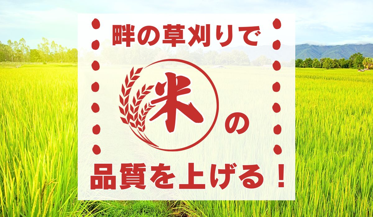 畦の草刈りで米の品質を上げる！
