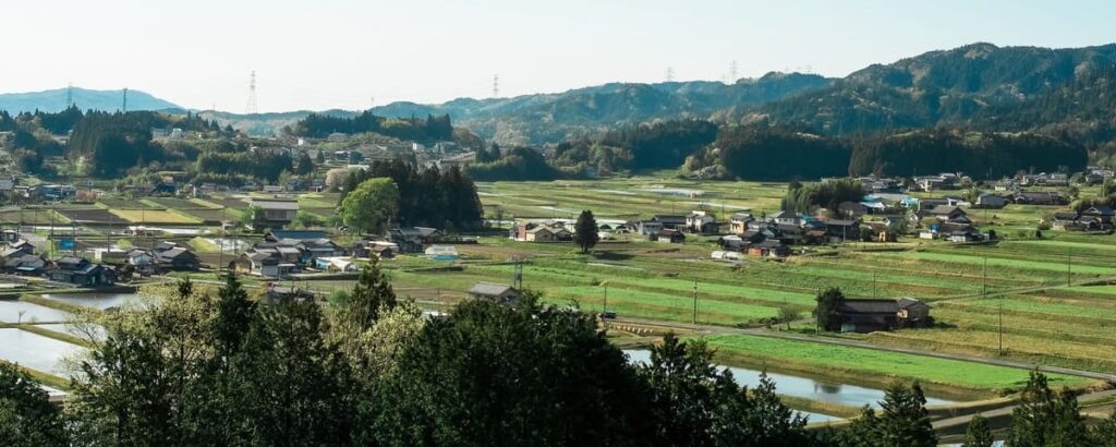 地方地域の草刈り前風景イメージ