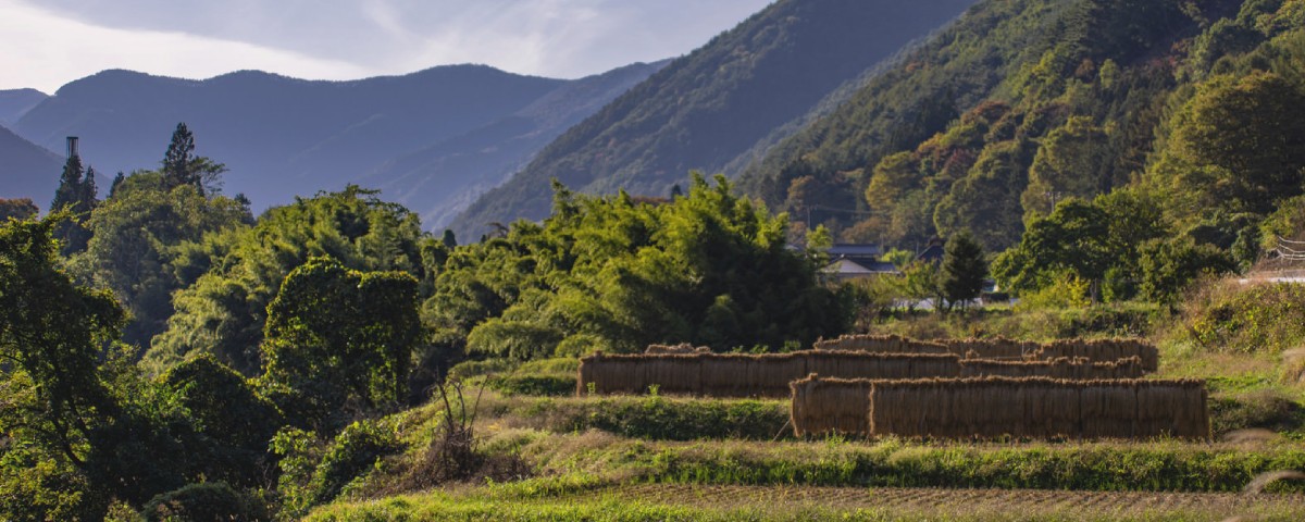 山間の稲刈り風景イメージ