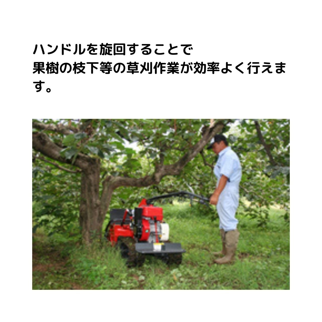 歩行型雑草刈車 ブッシュカッタージョージJr草なぎ CG82MS 筑水キャニコムの商品画像3