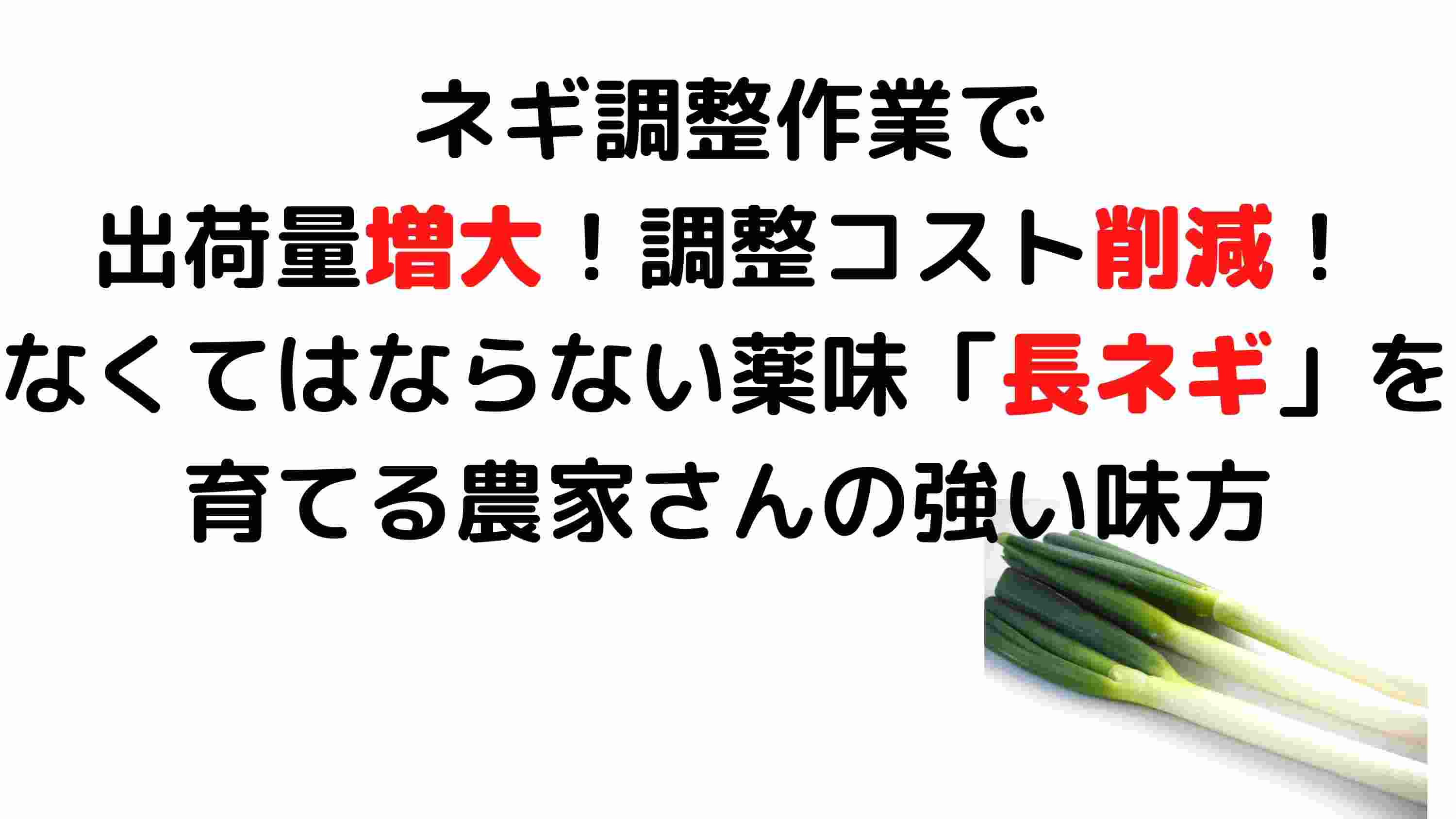 ネギ皮むき機 BM-8 タイガーカワシマ ネギむくべぇ【ダクト無】 調整